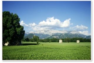  Vuelo termal en el Alpes